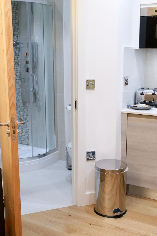 Executive Bright And Airy Studio Apartment In Sydenham Лондон Екстериор снимка